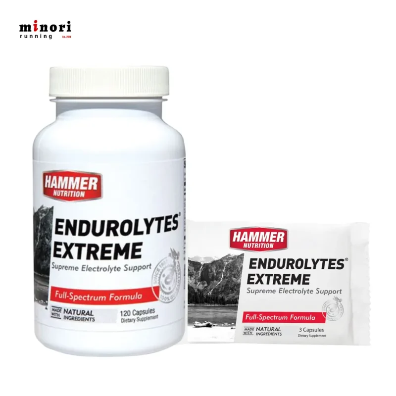 Viên Uống Điện Giải Hammer Nutrition Endurolytes Extreme Dạng Hộp 120 Viên