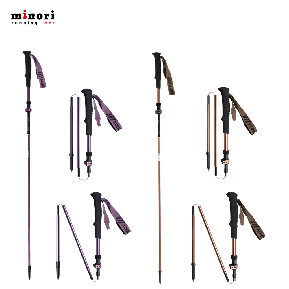 Gậy Trekking Aonijie E4225 - 3 Màu