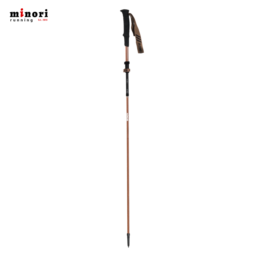 Gậy Trekking Aonijie E4225 - 3 Màu - Ảnh 8