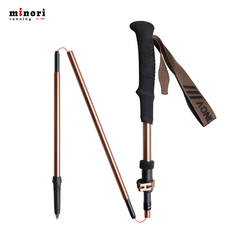 Gậy Trekking Aonijie E4225 - 3 Màu - Ảnh 10