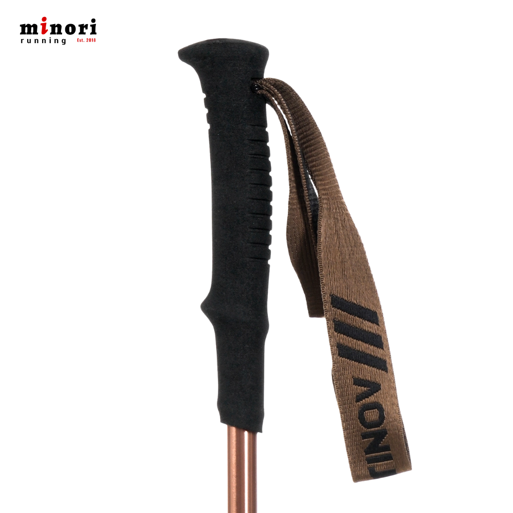 Gậy Trekking Aonijie E4225 - 3 Màu - Ảnh 12