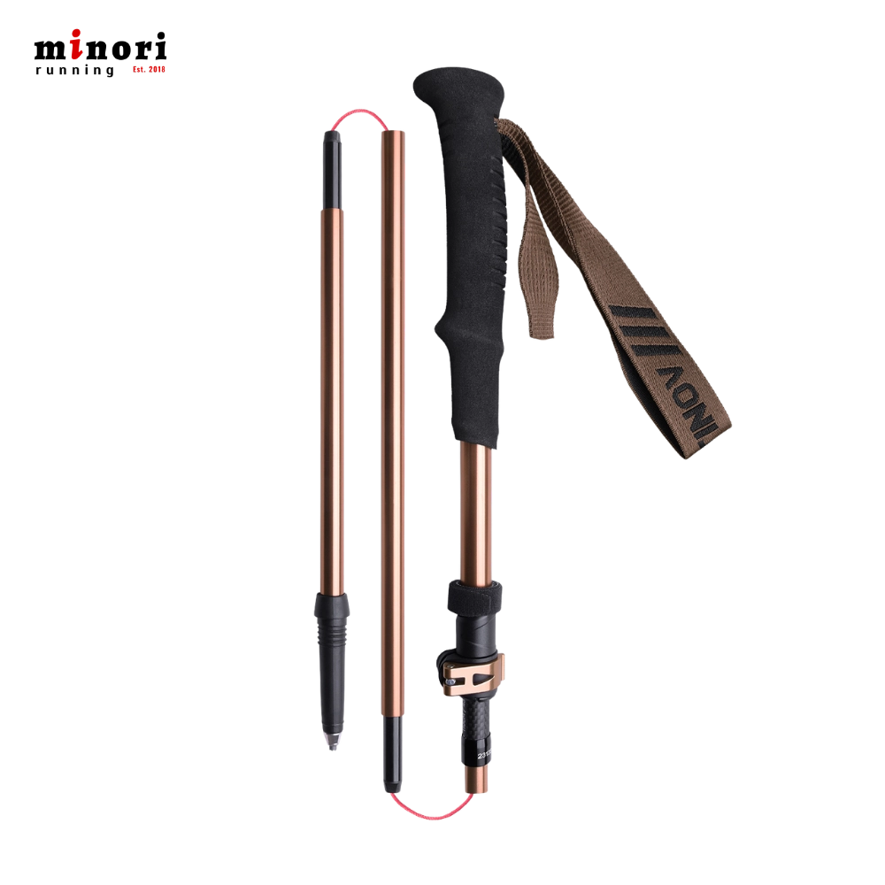 Gậy Trekking Aonijie E4225 - 3 Màu - Ảnh 9
