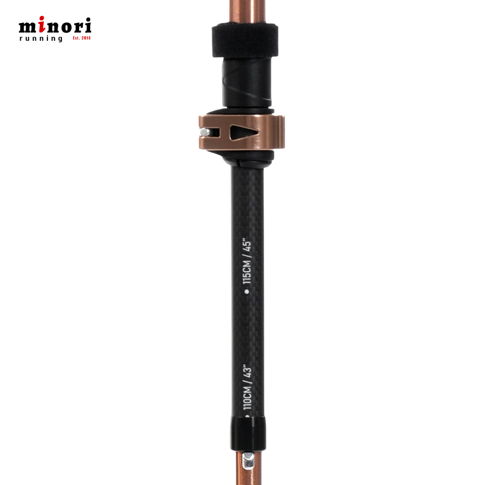 Gậy Trekking Aonijie E4225 - 3 Màu - Ảnh 11