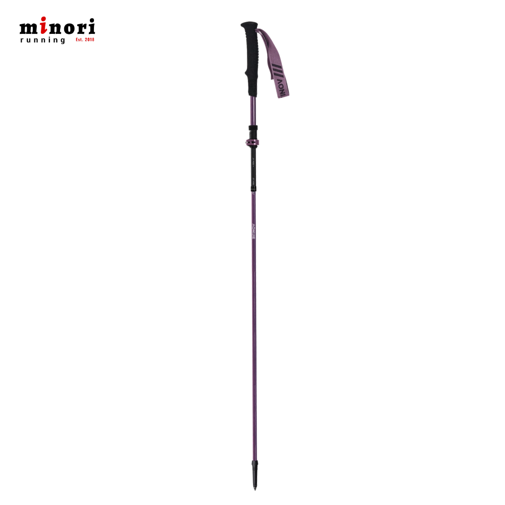 Gậy Trekking Aonijie E4225 - 3 Màu - Ảnh 2
