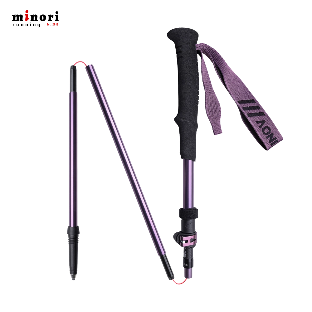 Gậy Trekking Aonijie E4225 - 3 Màu - Ảnh 3