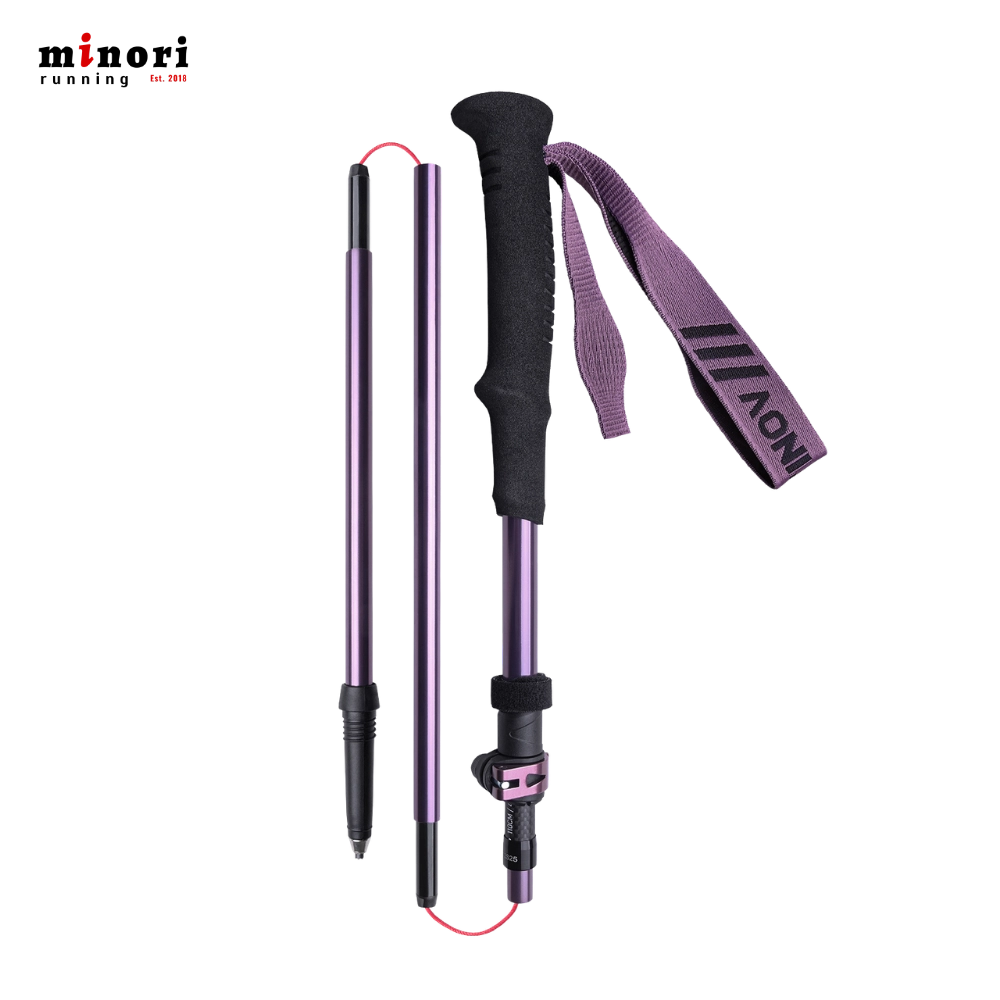Gậy Trekking Aonijie E4225 - 3 Màu - Ảnh 4